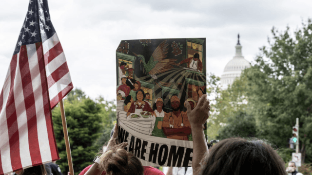 collective_carousel_image